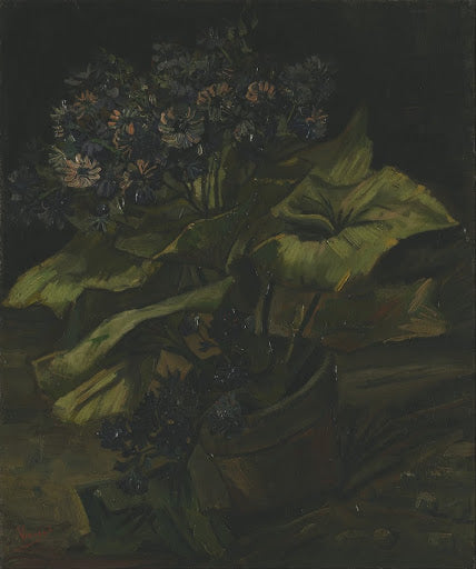 Cineraria's Poster | Vincent van Gogh Art Print (1885)