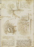 The Vessels and Nerves of the Neck Poster | Leonardo da Vinci Art Print (1508)