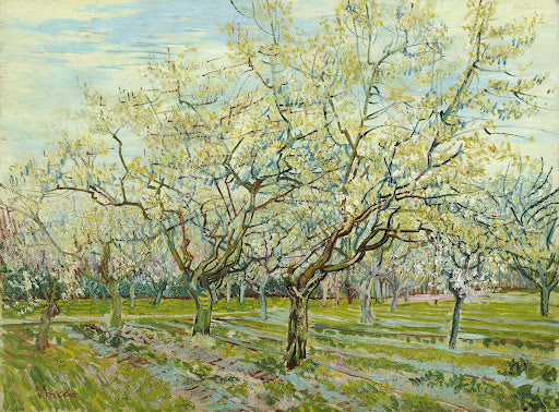 The White Orchard Poster | Vincent van Gogh Art Print (1888)
