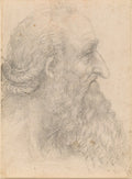 The Head of an Old Bearded Man Poster | Leonardo da Vinci Art Print (1517)
