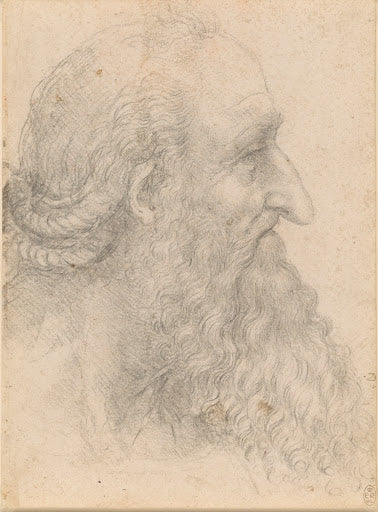 The Head of an Old Bearded Man Poster | Leonardo da Vinci Art Print (1517)