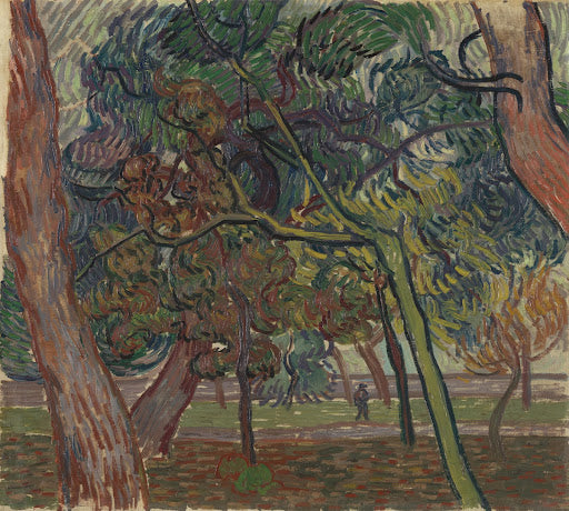Pine Trees in the Garden of the Asylum Poster | Vincent van Gogh Art Print (1889)