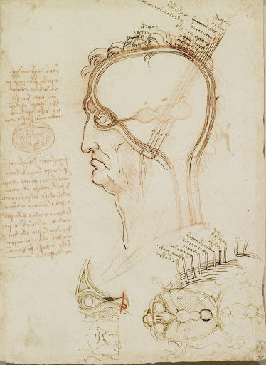 The Layers of the Scalp, and the Cerebral Ventricles Poster | Leonardo da Vinci Art Print (1490)