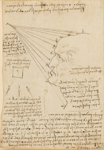 The Fall of Light on a Face Poster | Leonardo da Vinci Art Print (1488)