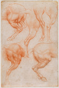 Studies of a Horse's Hind Legs Poster | Leonardo da Vinci Art Print (1508)
