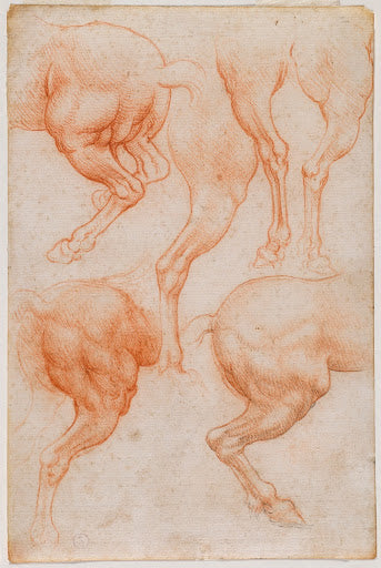 Studies of a Horse's Hind Legs Poster | Leonardo da Vinci Art Print (1508)