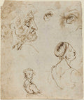 Sheet of Studies Poster | Leonardo da Vinci Art Print (1470)