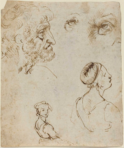 Sheet of Studies Poster | Leonardo da Vinci Art Print (1470)