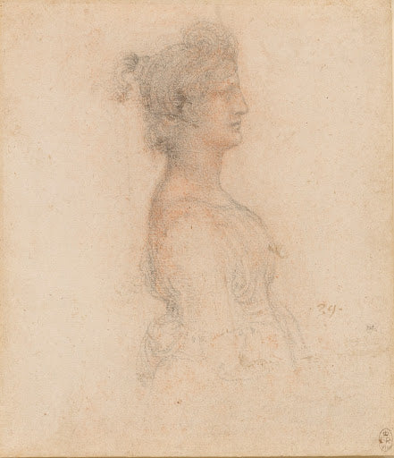 The Bust of a Masquerader in Right Profile Poster | Leonardo da Vinci Art Print (1517)