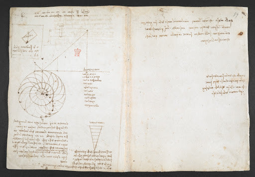 Codex Arundel Folio 44v Poster | Leonardo da Vinci Art Print