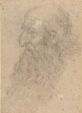 The Head of an Old Bearded Man in Profile Poster | Leonardo da Vinci Art Print (1519)
