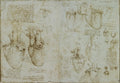 The Ventricles, Papillary Muscles and Tricuspid Valve Poster | Leonardo da Vinci Art Print (1511)
