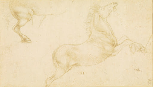 Studies of Horses II Poster | Leonardo da Vinci Art Print (1480)