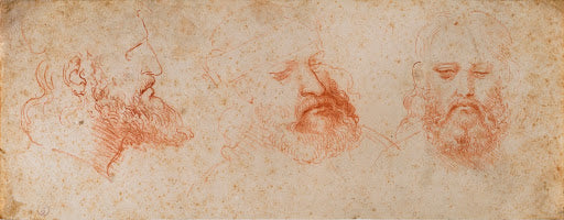 Three Views of a Bearded Man's Head Poster | Leonardo da Vinci Art Print (1502)