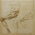 Studies of Legs Poster | Michelangelo Art Print (1524)