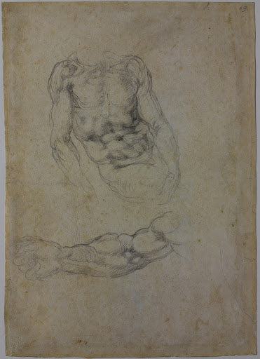 Study of a Male Torso and a Right Arm Poster | Michelangelo Art Print (1533)