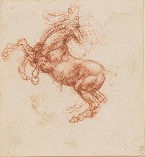 A Rearing Horse Poster | Leonardo da Vinci Art Print (1503)