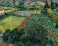 Field with Poppies Poster | Vincent van Gogh Art Print (1889)