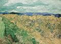 Wheatfield with Cornflowers Poster | Vincent van Gogh Art Print (1890)