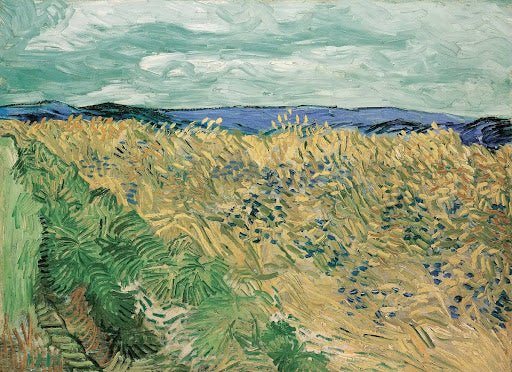 Wheatfield with Cornflowers Poster | Vincent van Gogh Art Print (1890)
