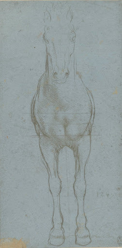 A Study of a Horse Poster | Leonardo da Vinci Art Print (1490)