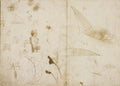 A Sheet of Miscellaneous Studies Poster | Leonardo da Vinci Art Print (1490)