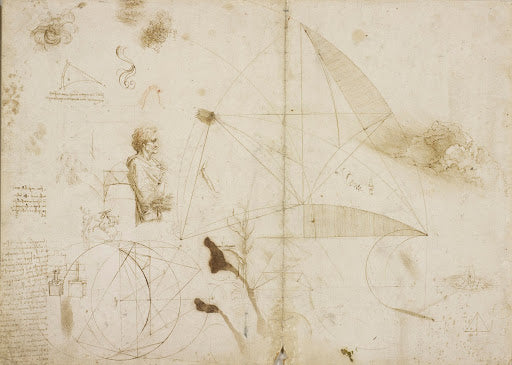 A Sheet of Miscellaneous Studies Poster | Leonardo da Vinci Art Print (1490)
