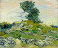 The Rocks Poster | Vincent van Gogh Art Print (1888)