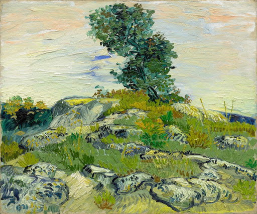 The Rocks Poster | Vincent van Gogh Art Print (1888)