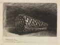 The Shell Poster | Rembrandt van Rijn Art Print (1650)