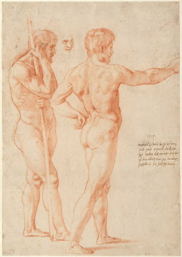 Nude Studies Poster | Raphael Art Print (1515)