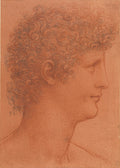 The Head of a Youth Poster | Leonardo da Vinci Art Print (1510)