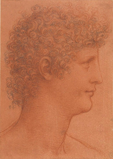 The Head of a Youth Poster | Leonardo da Vinci Art Print (1510)