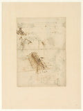Codex Atlanticus Folio 71 Recto Poster | Leonardo da Vinci Art Print (1485)