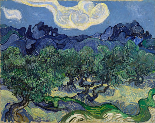 The Olive Trees Poster | Vincent van Gogh Art Print (1889)