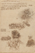 Apocalyptic Scenes, with Notes Poster | Leonardo da Vinci Art Print (1517)