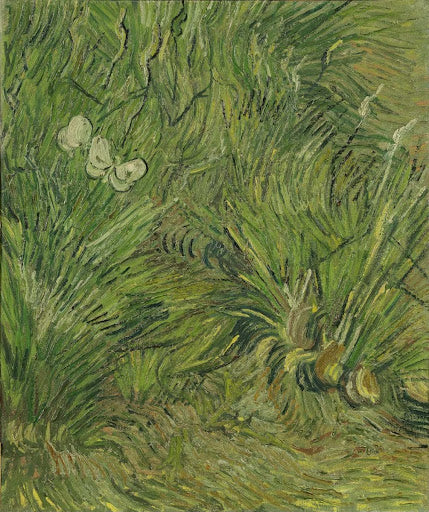 Garden with Butterflies Poster | Vincent van Gogh Art Print (1889)