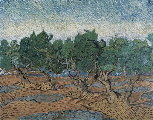 Olive Grove Poster | Vincent van Gogh Art Print (1889)