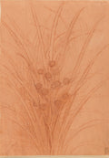 A Branched Bur-reed Poster | Leonardo da Vinci Art Print (1506)