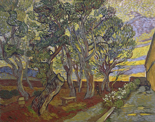 The Garden of the Asylum Poster | Vincent van Gogh Art Print (1889)