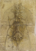 The Cardiovascular System and Principal Organs of a Woman Poster | Leonardo da Vinci Art Print (1509)