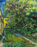 The Garden of the Asylum at Saint-Rémy Poster | Vincent van Gogh Art Print (1889)