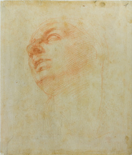 Study of a Head Poster | Michelangelo Art Print (1504)