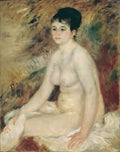 After the Bath Poster | Pierre-Auguste Renoir Art Print (1876)
