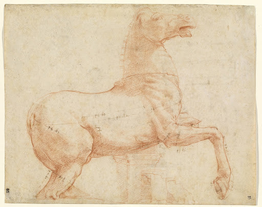 A Marble Horse on the Quirinal Hill Poster | Raphael Art Print (1513)