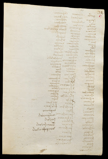 Codex Trivulzianus Page 67 Poster | Leonardo da Vinci Art Print (1487)