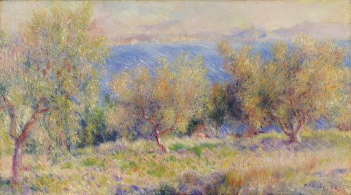 The Olive Groves of L'Estaque Poster | Pierre-Auguste Renoir Art Print (1882)