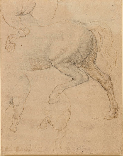 Studies of a Horse IV Poster | Leonardo da Vinci Art Print (1517)