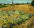 Wheatfield Poster | Vincent van Gogh Art Print (1888)