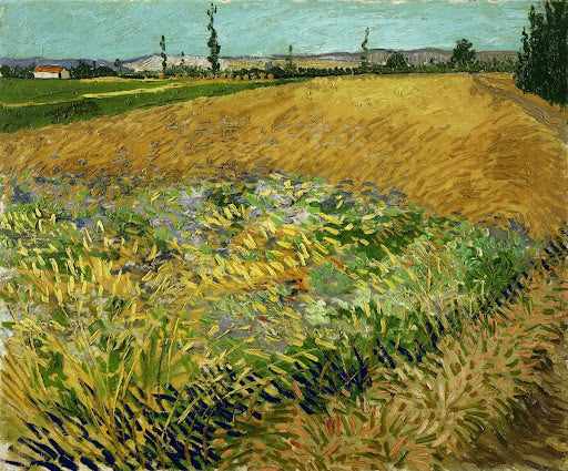Wheatfield Poster | Vincent van Gogh Art Print (1888)